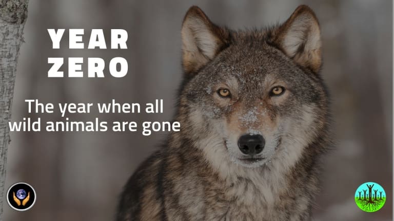 How To Prevent Year Zero, When All Wild Animals Are Gone